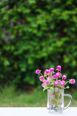 Potted flowers in glass on natural scenes.