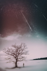 Obraz na płótnie Canvas starry sky in winter