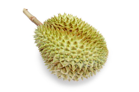 Fresh durian isolated on white background.King of fruits.