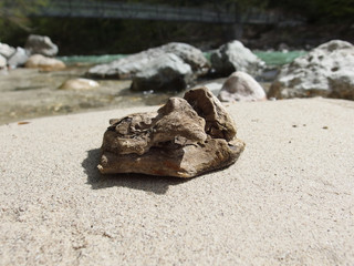 Wurzel im Sand am Bachufer