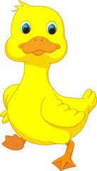 cute duck cartoon