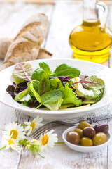 Summer leaf salad on a wooden background