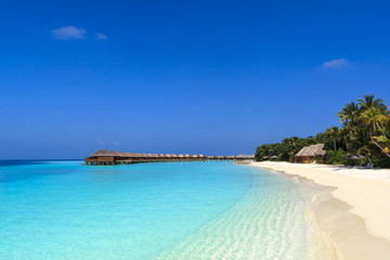 Tropical Beach in Maldives