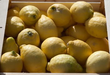 Limoni