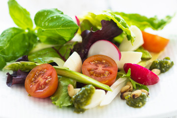 leafy salad and mozzarella with pesto and tomatoes