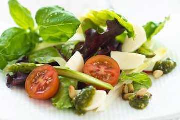 leafy salad and mozzarella with pesto and tomatoes