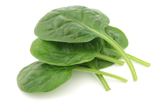 fresh spinach leaves on a white background