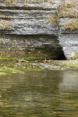 Fototapeta na wymiar Cave In Spring