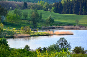 Obraz premium Green rural landscape with a small lake surrounded by rolling hills, fields, and forest. Spring, nature, countryside, tranquility, and sustainable rural environment.