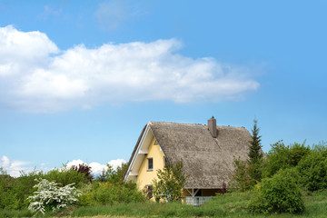 Fototapeta na wymiar thatched cottage in the green countryside against a blue sky, ty
