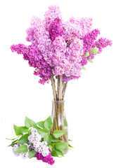 Lilac flowers