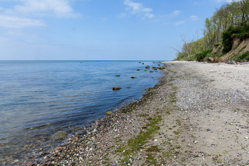 Fototapeta na wymiar Stony beach and steep coast on the Baltic Sea