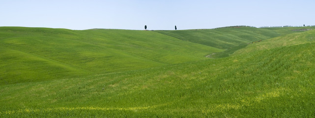 Tuscany hills and countryside in Sienna region, Italy 