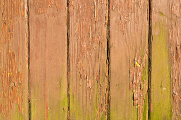 Orange wooden background texture