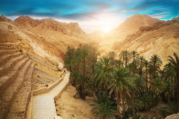 Oasis de montagne Chebika, désert du Sahara, Tunisie, Afrique