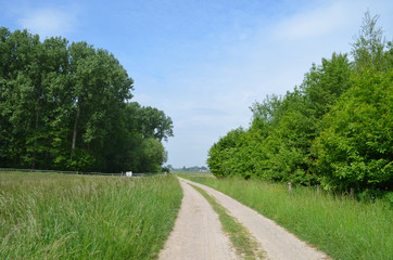 Fototapeta na wymiar concrete path in countryside landscape