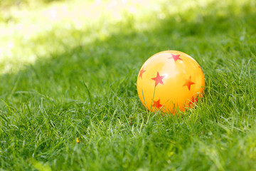 Colored rubber ball lying on grass