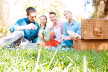 Young people during on background of green grass