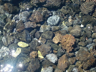 Pebbles and stones in water