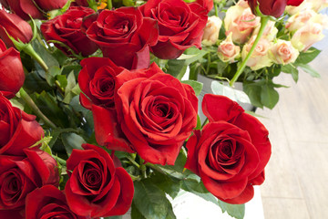  red roses