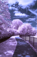 A path through the park - Infrared landscape