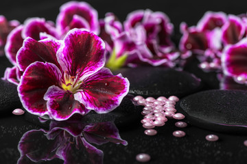 beautiful spa background of geranium flower, beads and black zen