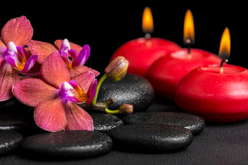 Fototapeta na wymiar beautiful spa background of blooming twig red orchid flower, pha