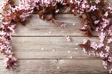 Spring flowering branch on grey wooden background