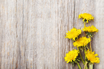 Yellow dandelion on grey wooden background