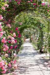 Naklejki  fantastyczna bujna ścieżka w ogrodzie różanym