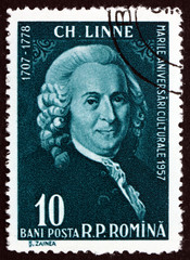 Postage stamp Romania 1958 Carl Linnaeus
