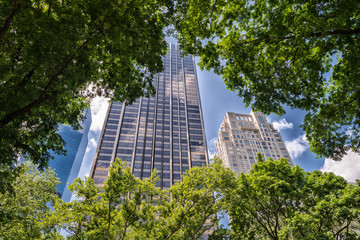 Obraz na płótnie Canvas Manhattan buildings framed by Central Park trees