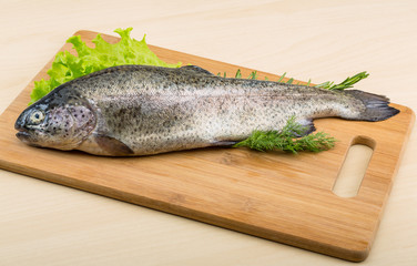 Raw fresh trout