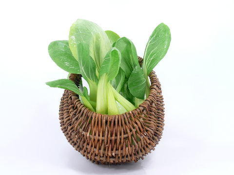 Baby Pak Choi
