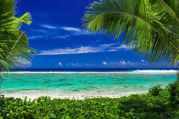 Beach on tropical island during sunny day framed by palm trees