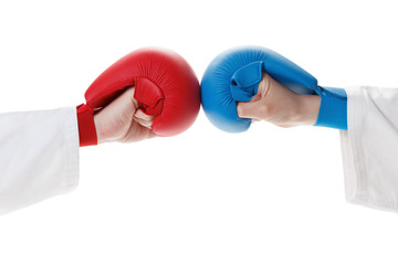 Karate sports glove and fist