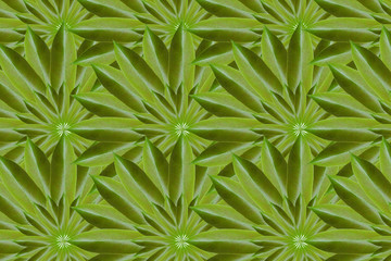 Fototapeta premium Idea from leaf (Pattern concept)
