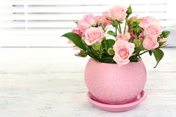 Beautiful roses in pot on windowsill