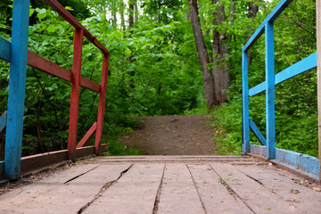 Fototapeta na wymiar Wooden bridge in park over green trees background