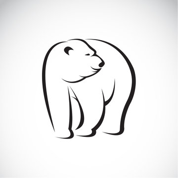 Vector image of an bear design on white background
