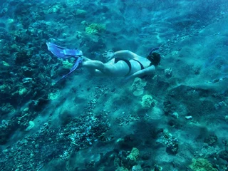 Fotobehang Woman snorkeling near coral reef. © Sarah Jane