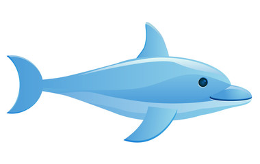 Dolphin vector image