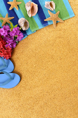Hawaii summer beach background border sand with starfish flower garland lei and seashells sunny Hawaiian holiday vacation photo space for copy text vertical