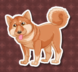 Shiba