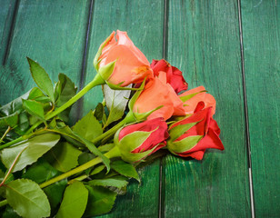 Fototapeta na wymiar Red Roses flowers, green wood background.