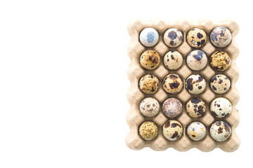 Quail eggs isolated