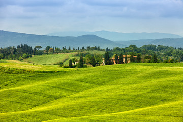 Obraz premium Typical summer rural landscape of Tuscany, Italy