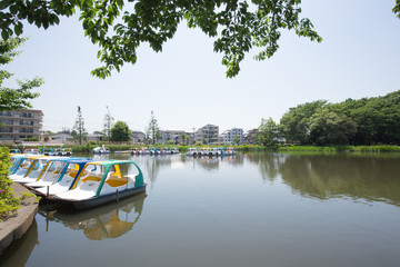 Obraz premium 石神井公園のボート