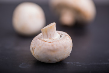 Mushroom on a black background, Champignon