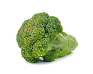 Broccoli isolated on a over  white background